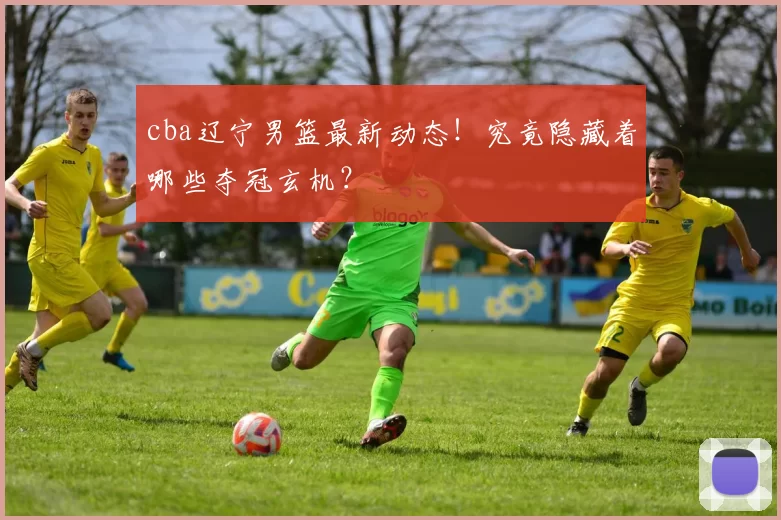 cba辽宁男篮最新动态!究竟隐藏着哪些夺冠玄机?