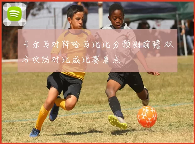 卡尔马对阵哈马比比分预测前瞻 双方攻防对比成比赛看点