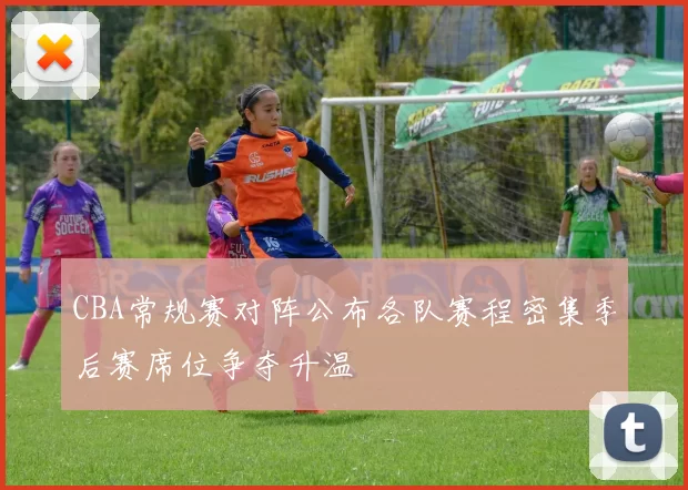 CBA常规赛对阵公布各队赛程密集季后赛席位争夺升温