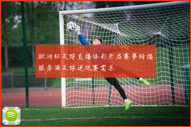 欧洲杯足球直播体彩开启赛事转播服务满足球迷观赛需求